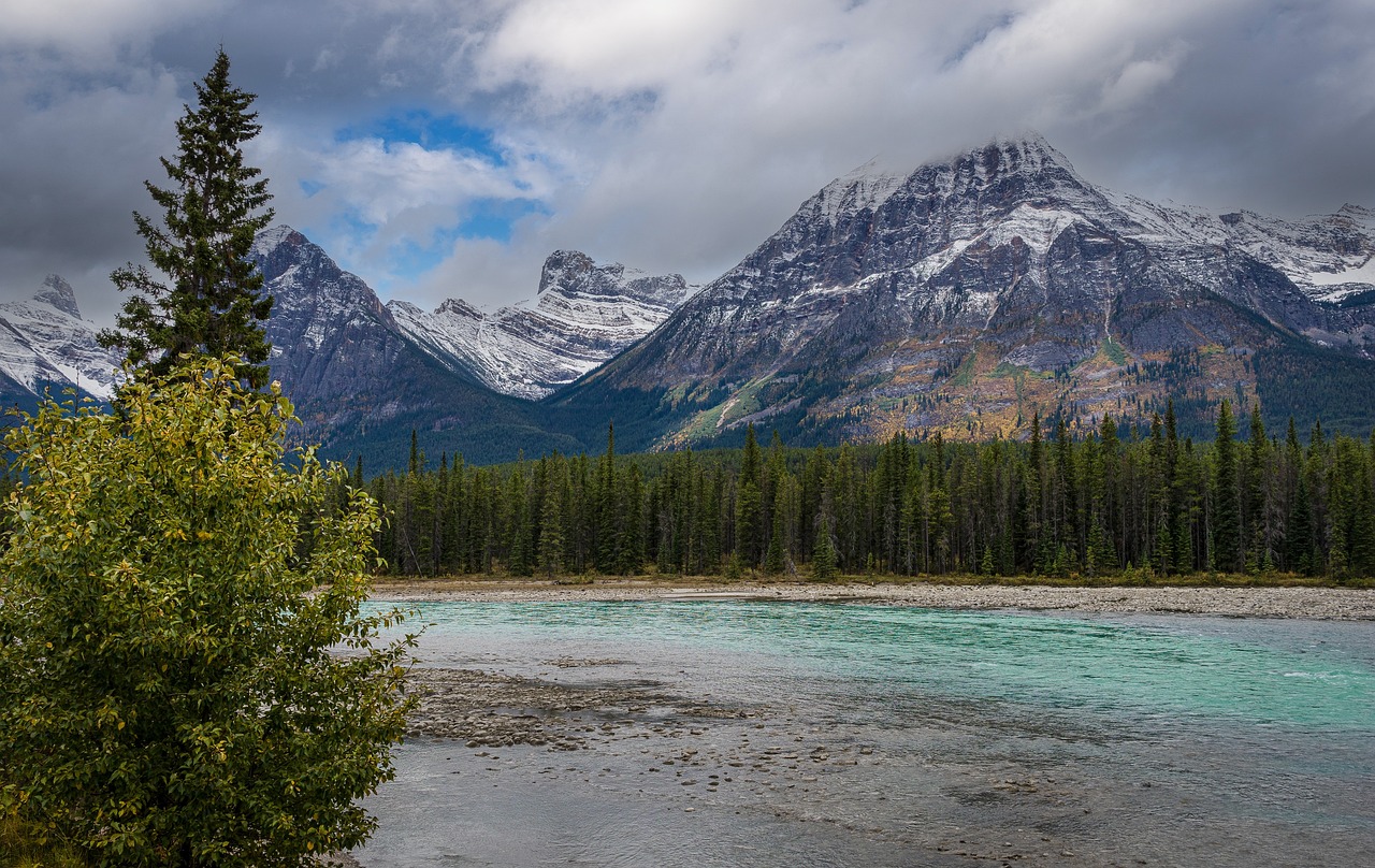 The Best Hiking Trails in Jasper National Park